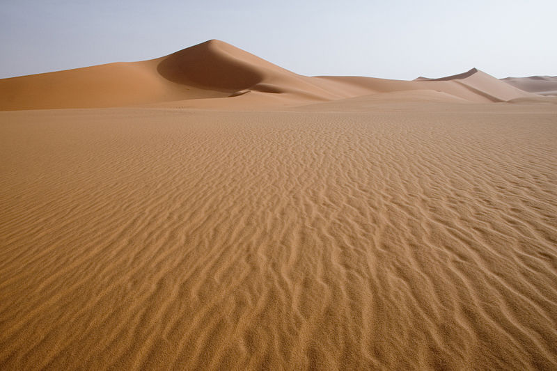 Sahara - Erg.jpg